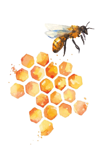 Aquarelle abeille Bulles de Ruche