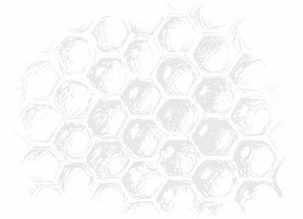 Engraving of beehive cells