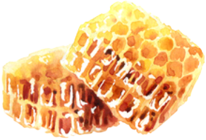 Honey Blocks Hive Bubbles