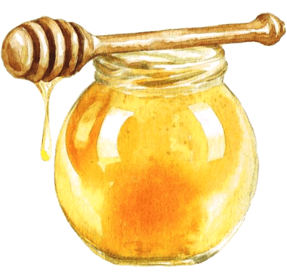 Honey pot Bulles de Ruche